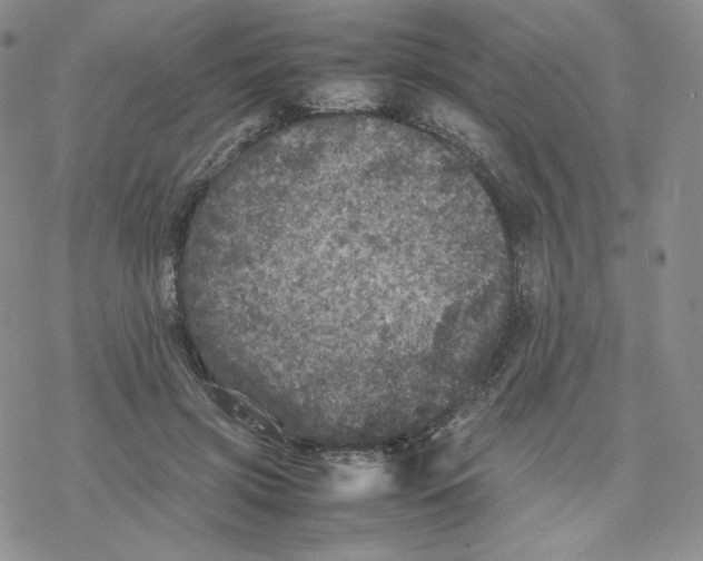 X0000077290549200611171630