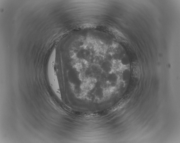 X0000077290550200611171630