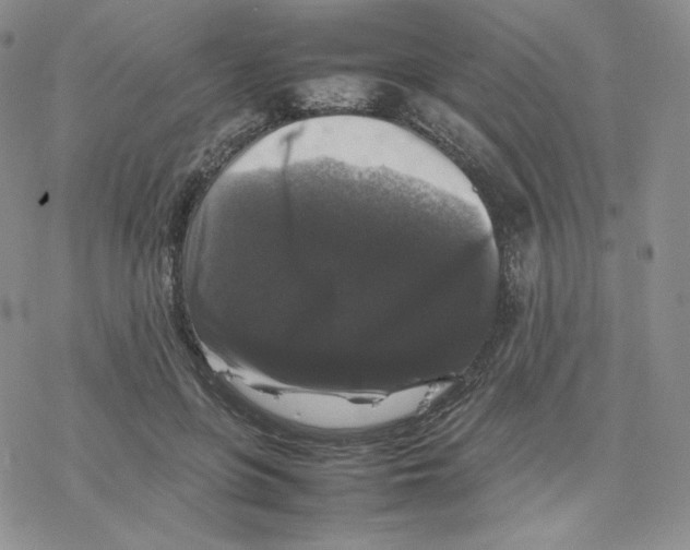 X0000077290551200611171630