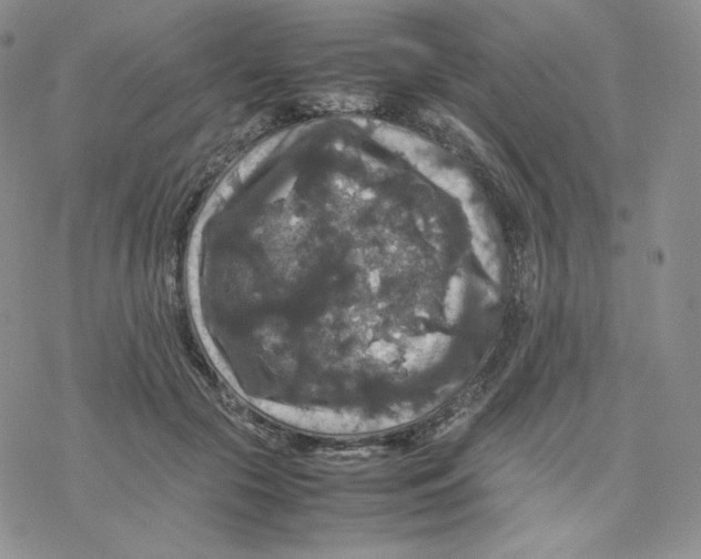 X0000077290553200611171630