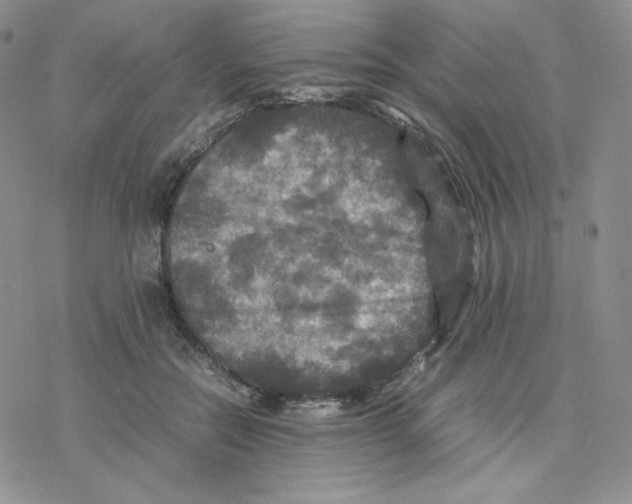 X0000077290554200611171630