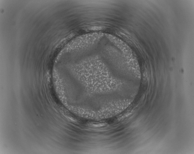 X0000077290555200611171630