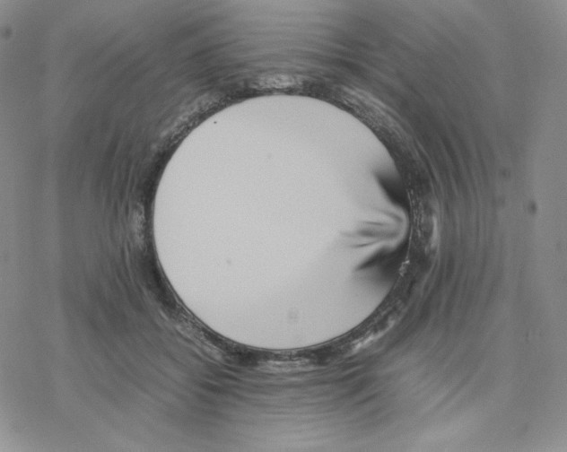 X0000077290556200611171630