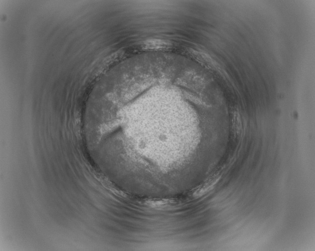 X0000077290557200611171630