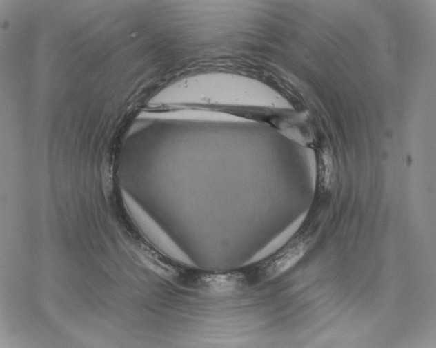 X0000077290558200611171630