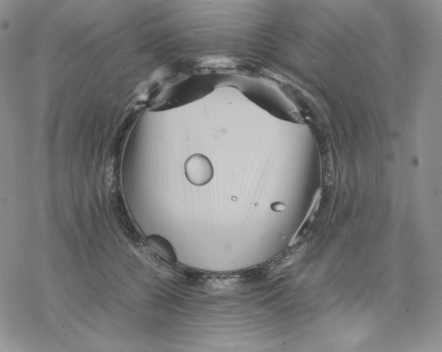 X0000077290560200611171630