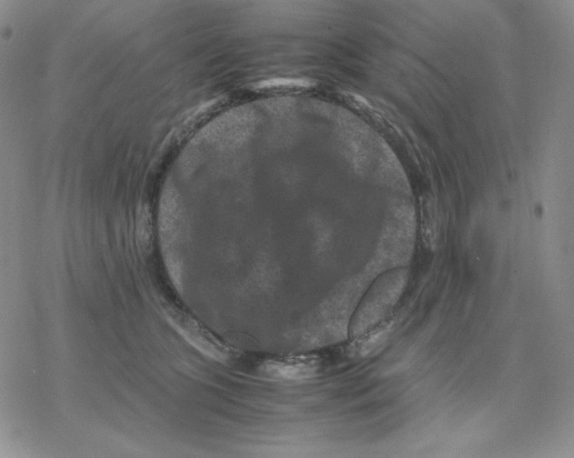 X0000077290563200611171630