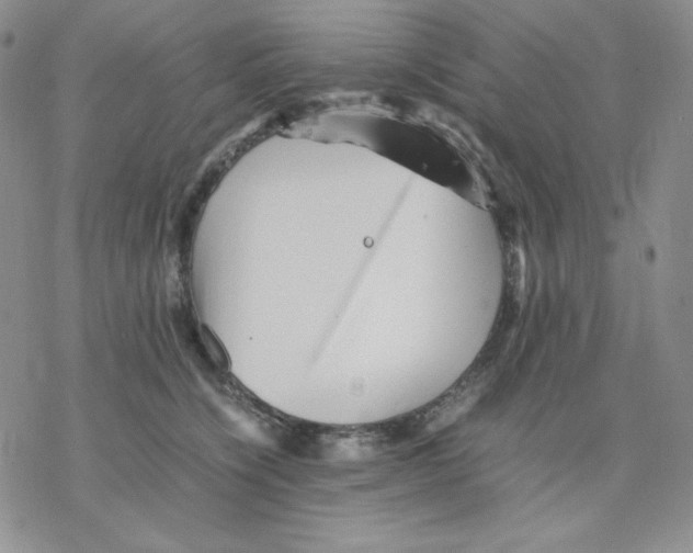 X0000077290564200611171630