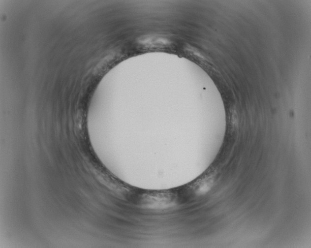 X0000077290567200611171630