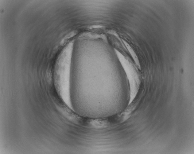 X0000077290568200611171630