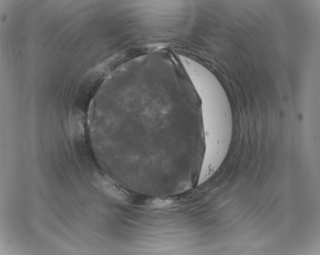 X0000077290570200611171630