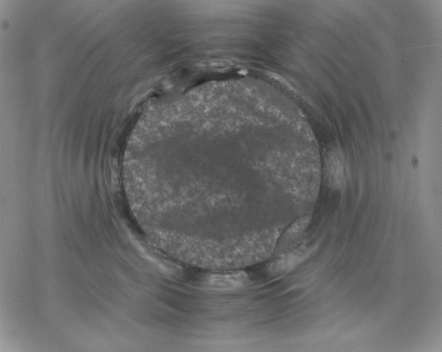 X0000077290571200611171630