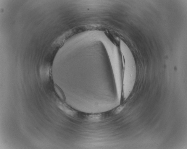 X0000077290574200611171630