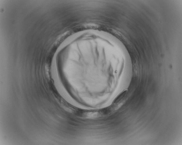 X0000077290575200611171630