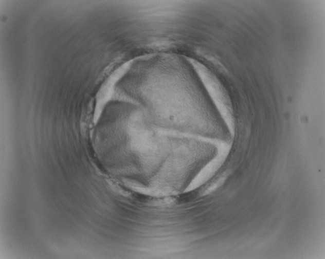 X0000077290576200611171630