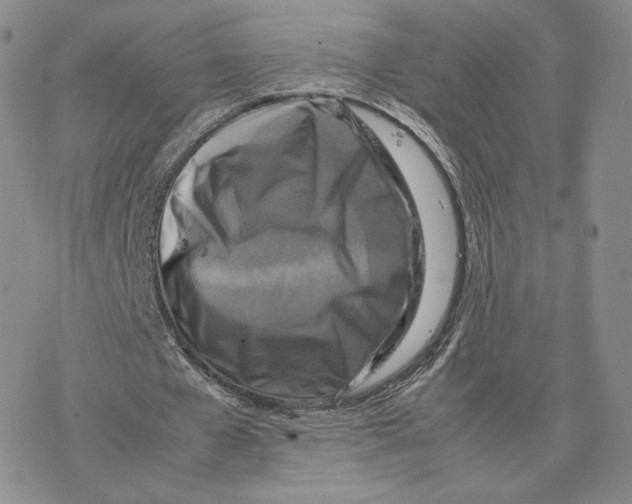 X0000077290577200611171629