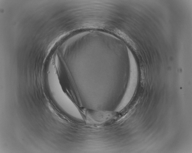 X0000077290580200611171629