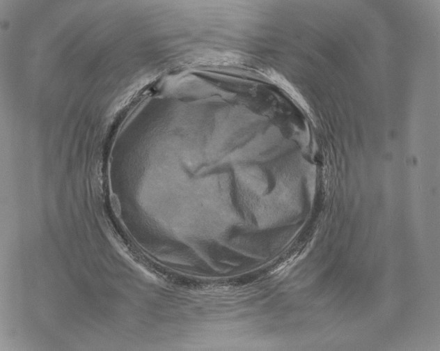 X0000077290581200611171629