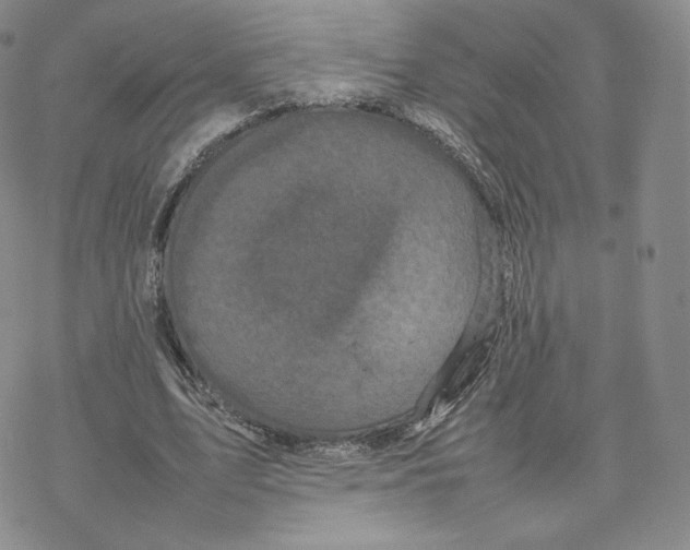 X0000077290583200611171629