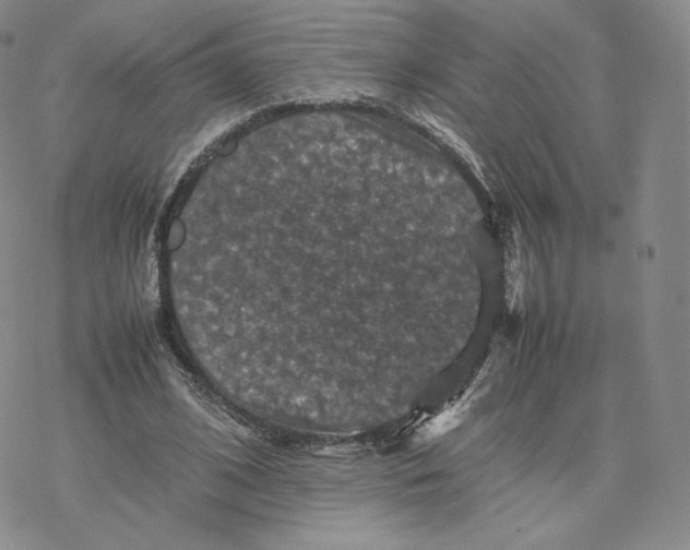 X0000077290584200611171629