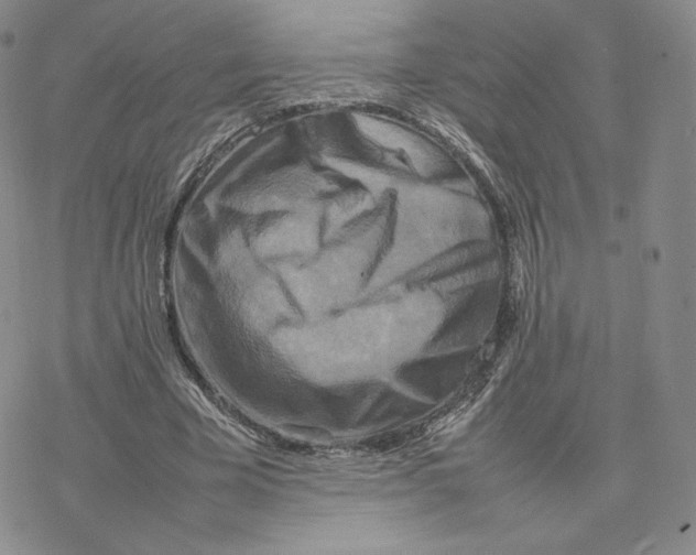 X0000077290585200611171629