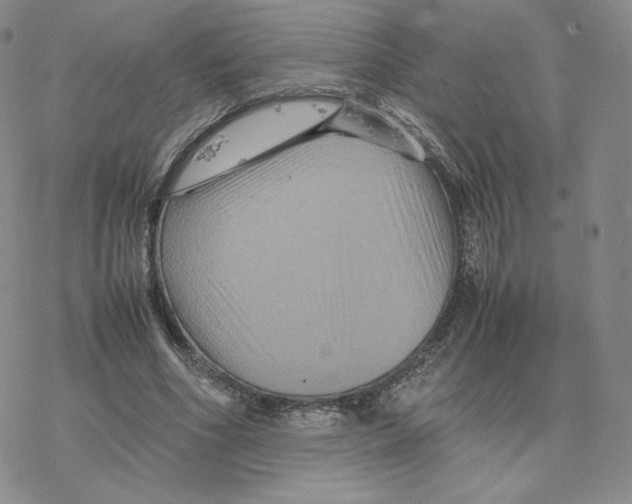 X0000077290586200611171629