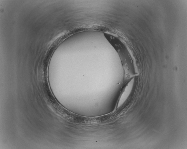 X0000077290587200611171629