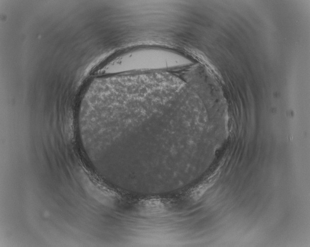 X0000077290588200611171629