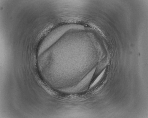 X0000077290589200611171629