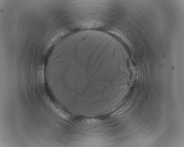 X0000077290590200611171629