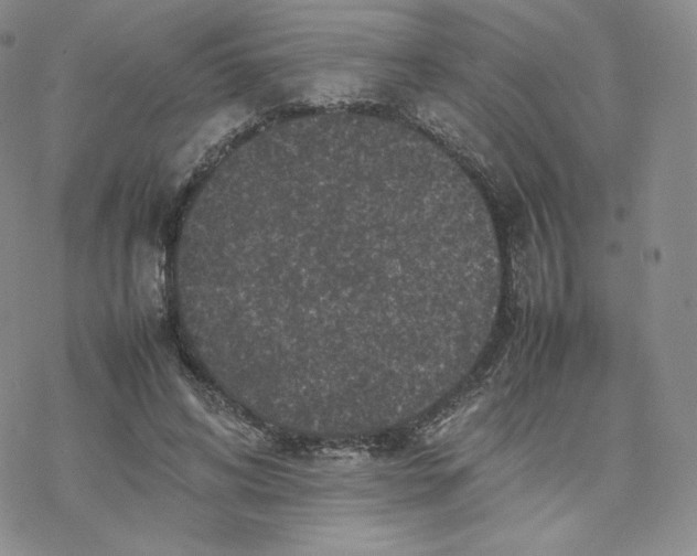 X0000077290592200611171629