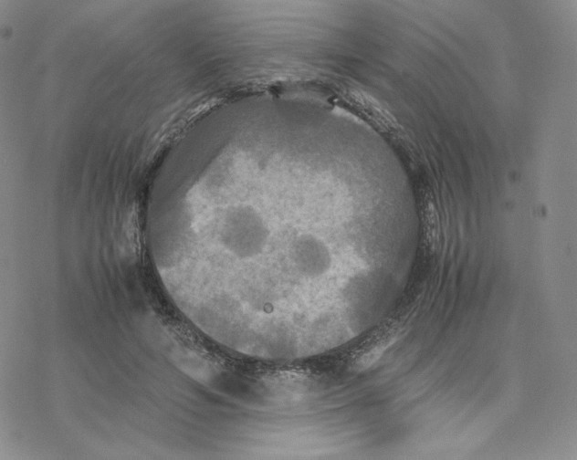 X0000077290594200611171629