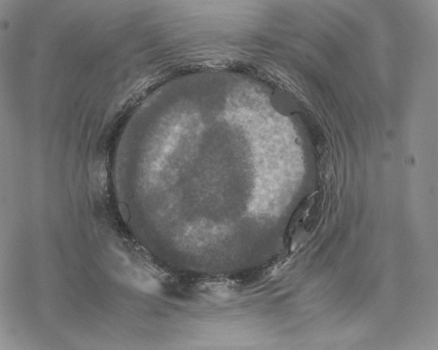 X0000077290595200611171629