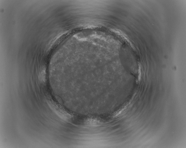 X0000077290596200611171629