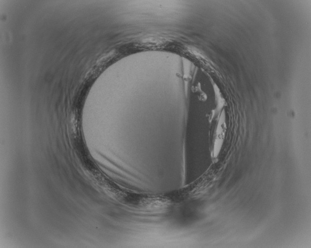 X0000077290597200611171629