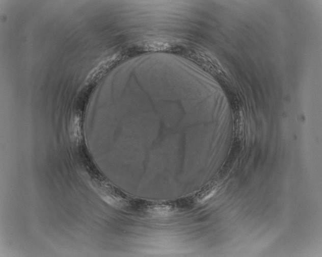 X0000077290598200611171629