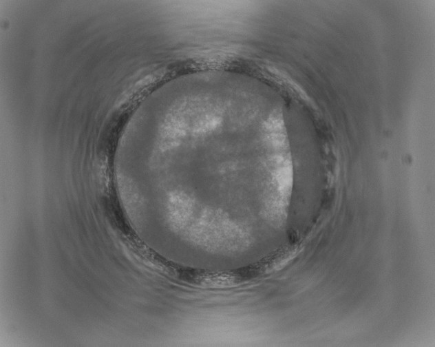 X0000077290599200611171629