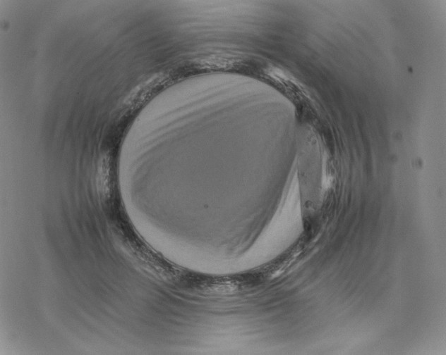 X0000077290600200611171629