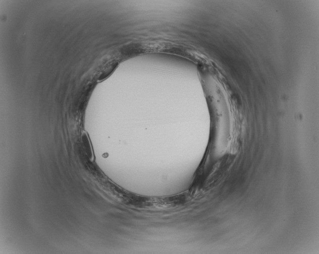 X0000077290601200611171629