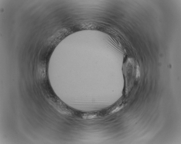 X0000077290602200611171629