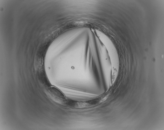 X0000077290605200611171629