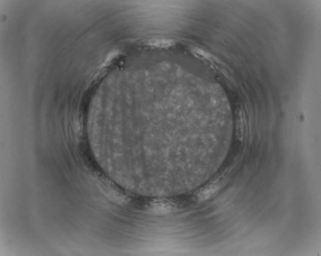 X0000077290608200611171629