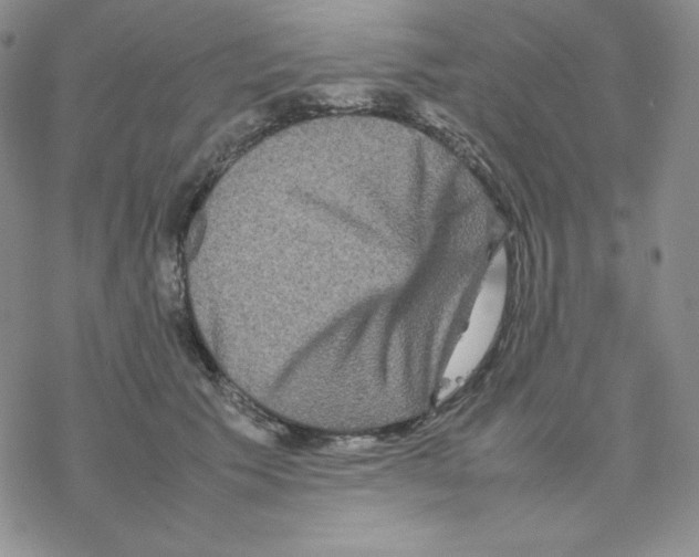 X0000077290609200611171629