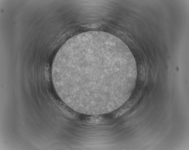 X0000077290612200611171629