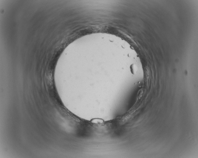 X0000077290613200611171629