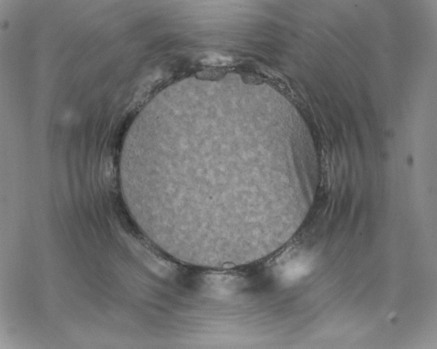 X0000077290614200611171629