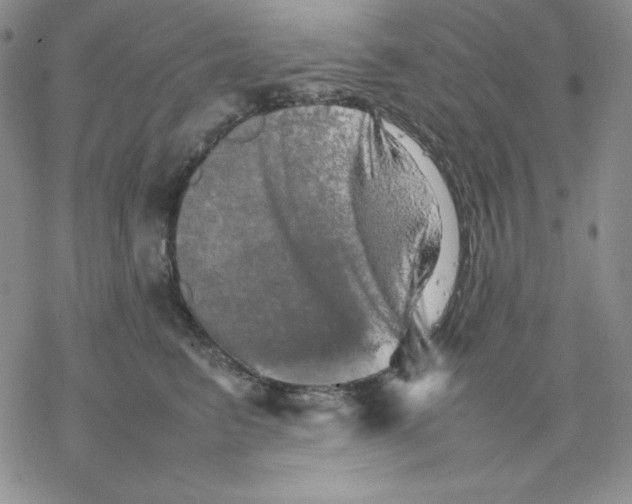 X0000077290615200611171629