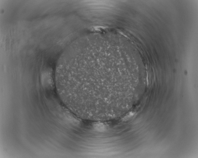 X0000077290616200611171629