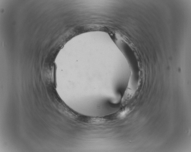 X0000077290617200611171629