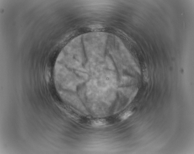 X0000077290618200611171629